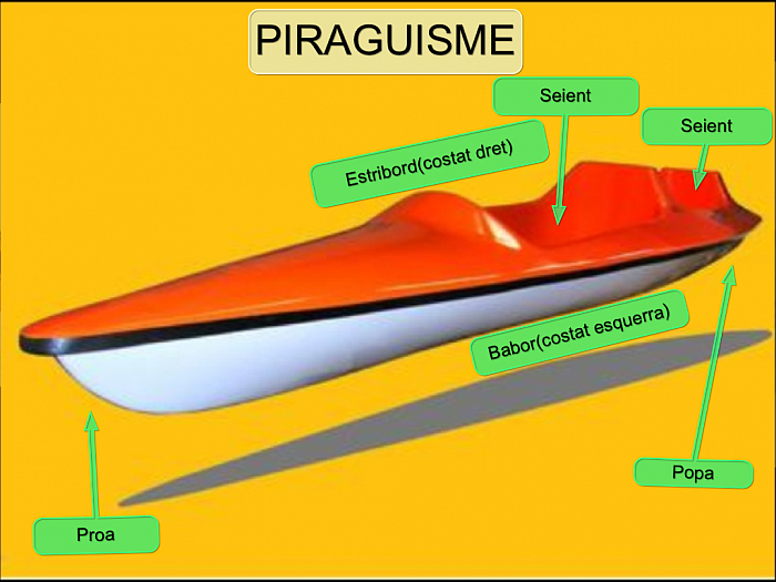Alguns noms de la piragüa , que podem apendre